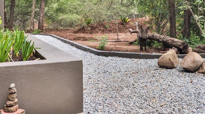 Akasha by Kruger Nights