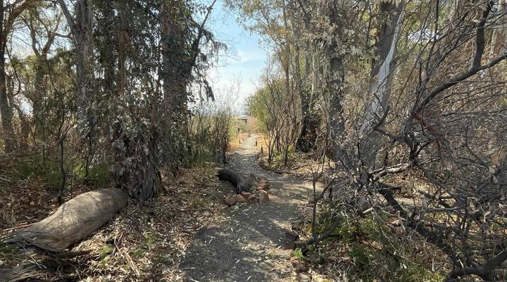 Erin Farmhouse & Cottages