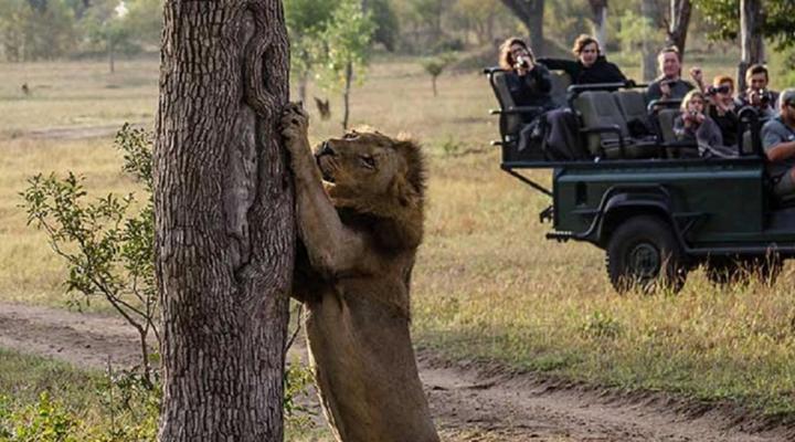 Umkumbe Safari Lodge Riverside