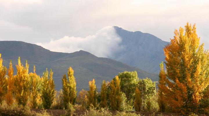 Meerkat Self-catering