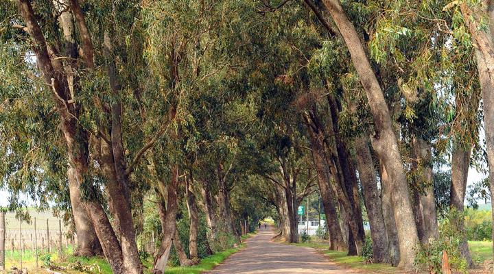 Groenvlei Guest Farm