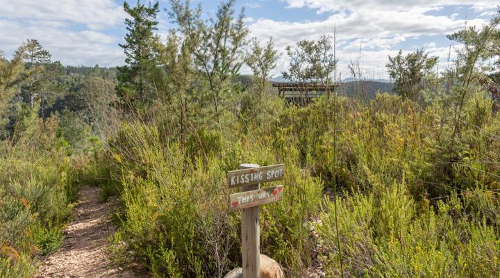 Forest Valley Cottages