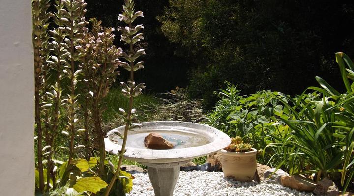 Masescha Country Estate