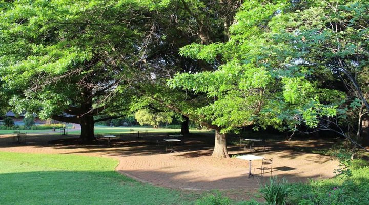 Whispering Pines Magaliesburg