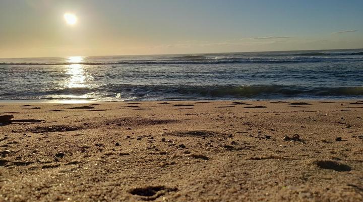 Sea Breeze Shelly Beach