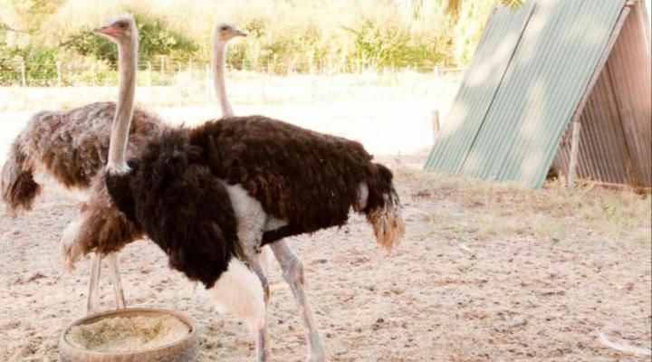 Oue Werf Country House