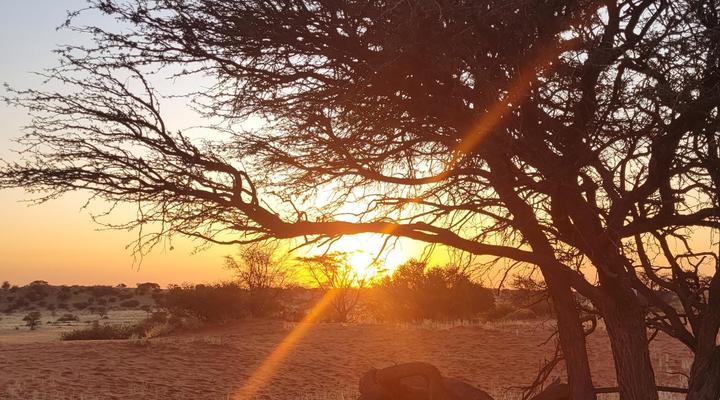 Kalahari Anib Lodge Camping, Namibia