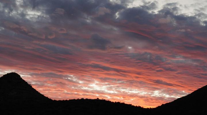 Rietfontein Guest Farm