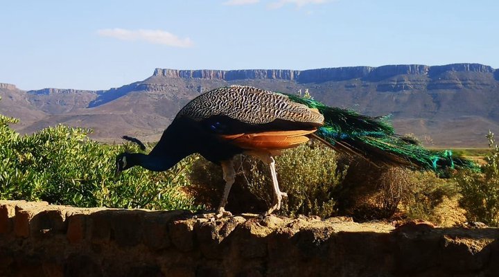 Kleinplasie Camping Site
