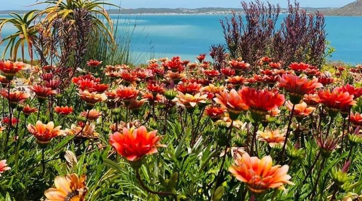 The Shark Bay Boutique & Spa