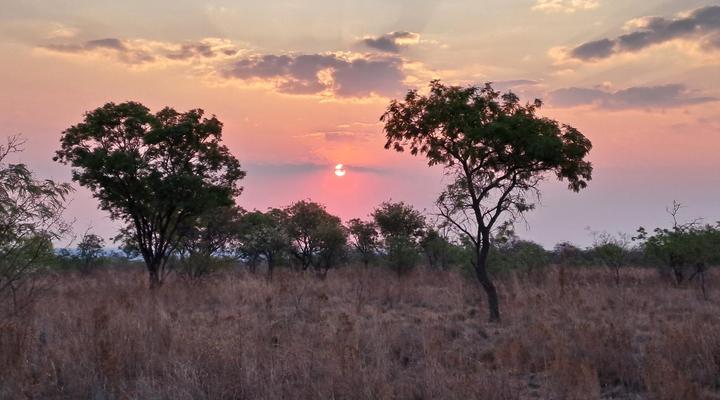 Nyani Lodge Dinokeng