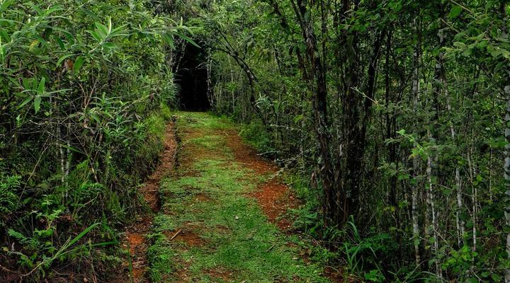 Ondini Guest House & Cottage