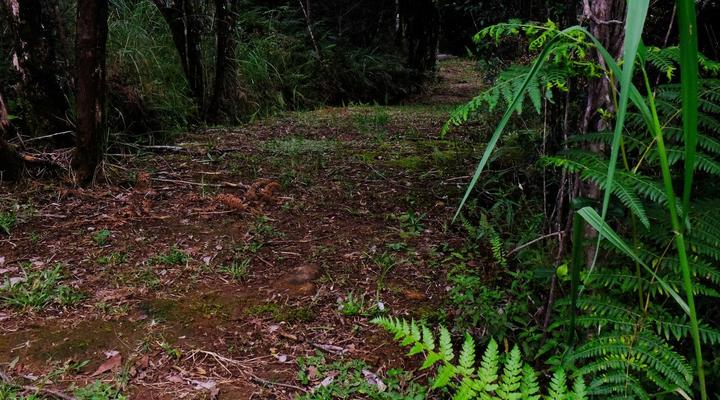 Ondini Guest House & Cottage