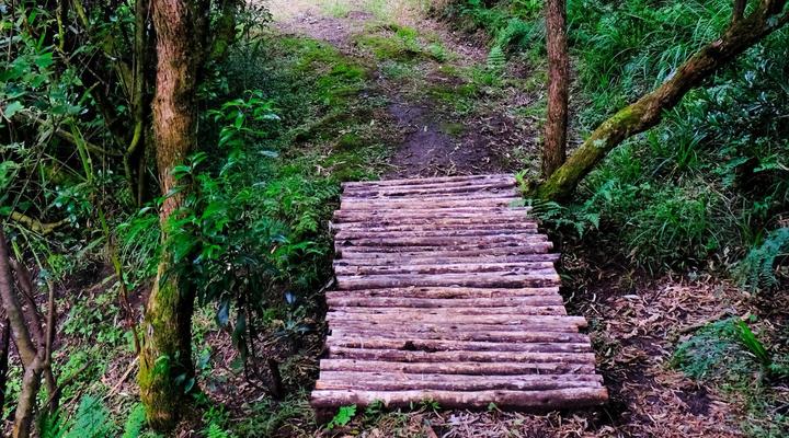 Ondini Guest House & Cottage