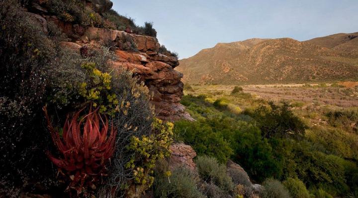 Karee Kloof Conservancy & Guest Farm