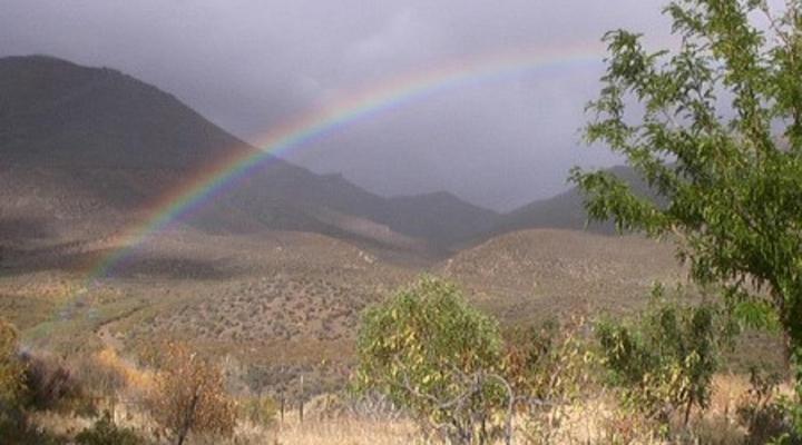 Karee Kloof Conservancy & Guest Farm