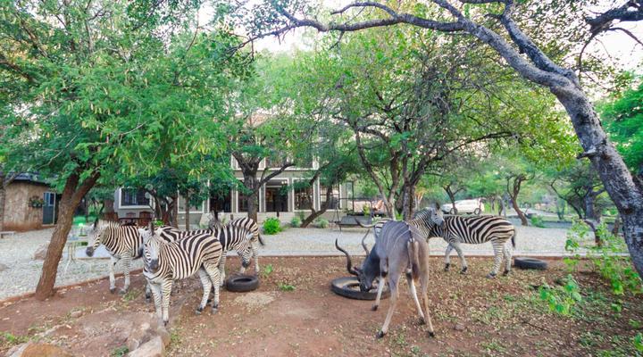 The Castello at Kruger