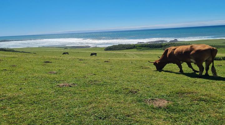 Mazeppa Sunrise Beach Accommodation