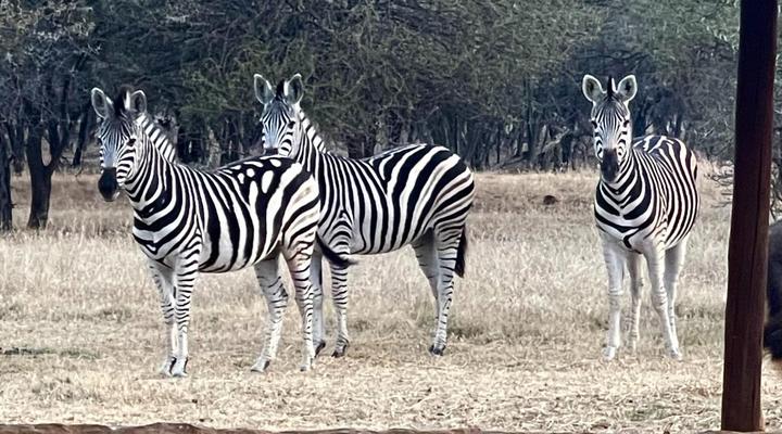 Tula Baba Guest Lodge