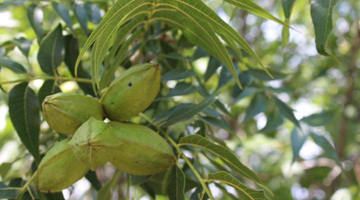 At The River Guest House