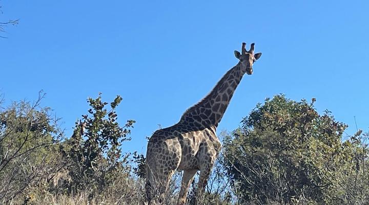 Newburg Lodge & Luxury Bush Tents
