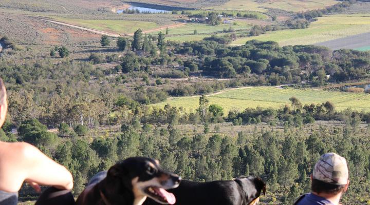 Langdam in Koo Guest Farm and Camping