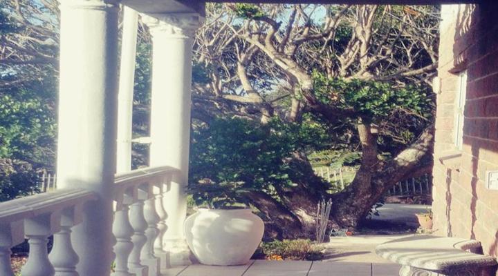 Utopia in Palm Beach