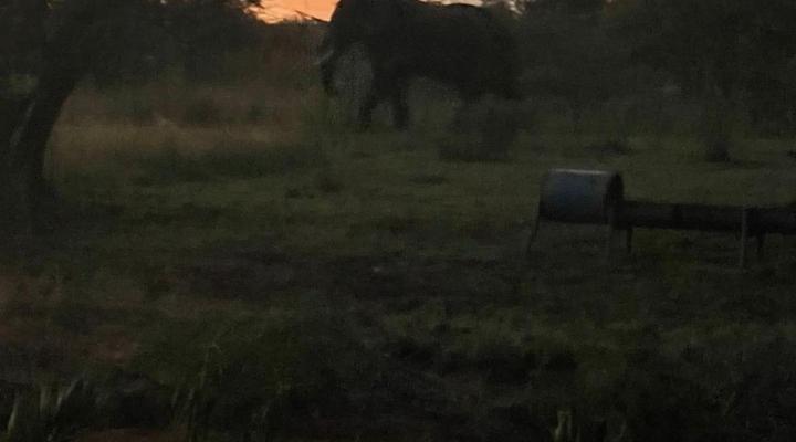 Little Dinokeng Bush Lodge