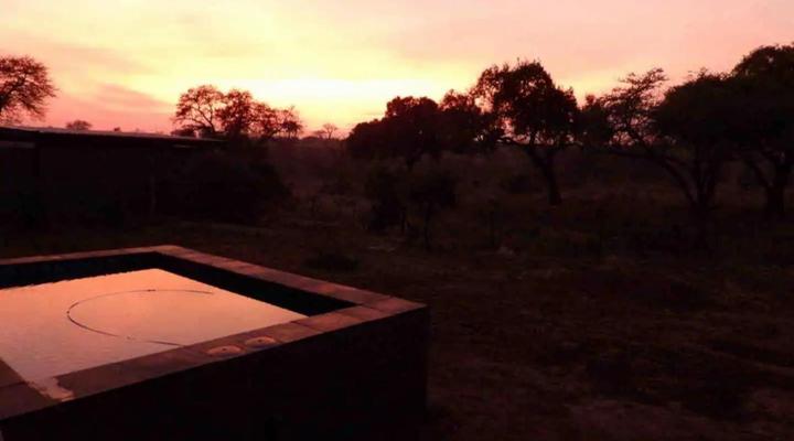 Barn Owl Lodge Mjejane Game Reserve