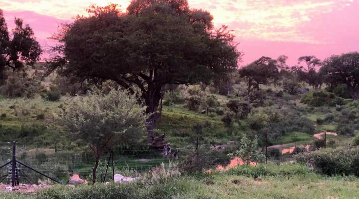 Barn Owl Lodge Mjejane Game Reserve