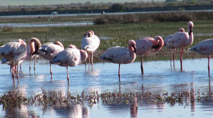 Riverhouse - Velddrif