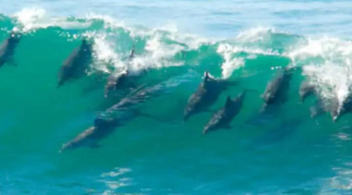 Escape to 203 on Umdloti Beach