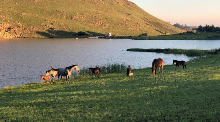 Vetho Farmhouse Studio and Spa