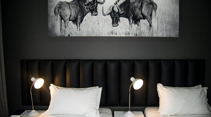 Grey Goose Game Lodge