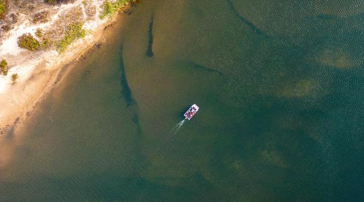 Taranga Safari Lodge