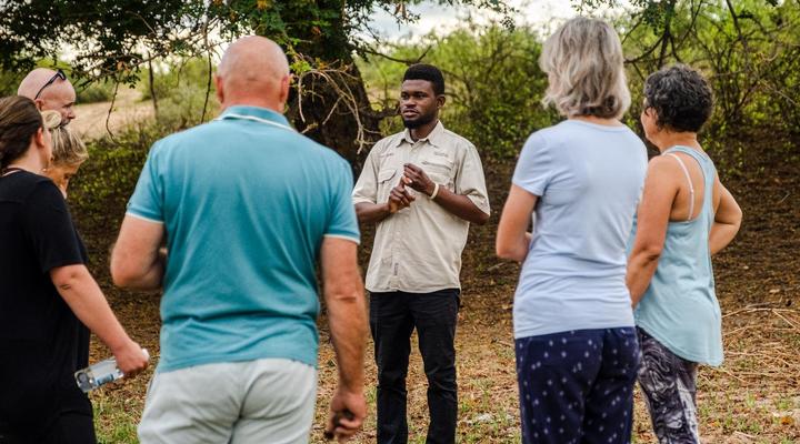 Taranga Safari Lodge