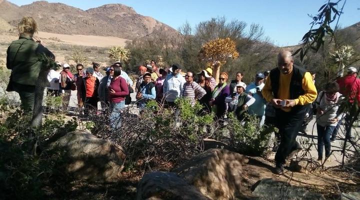 Hollywood Lodge and Green Jewel adventures