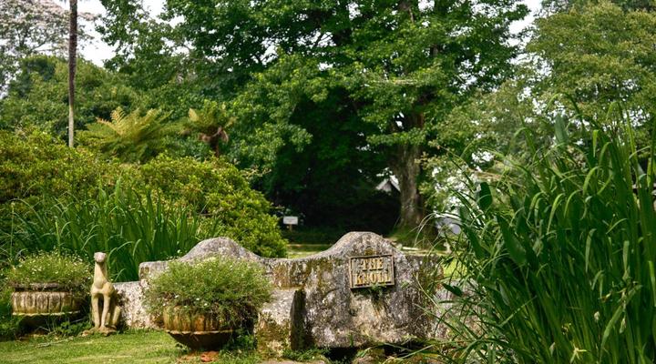 The Knoll Guest Farm