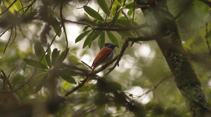 The Knoll Guest Farm