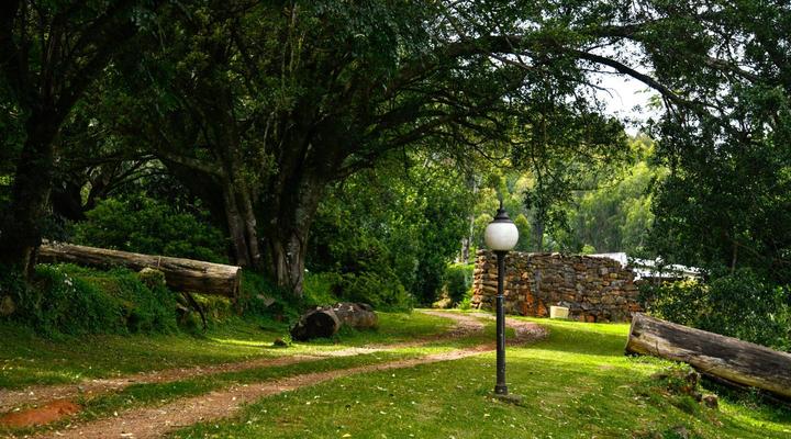 The Knoll Guest Farm