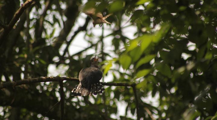 The Knoll Guest Farm