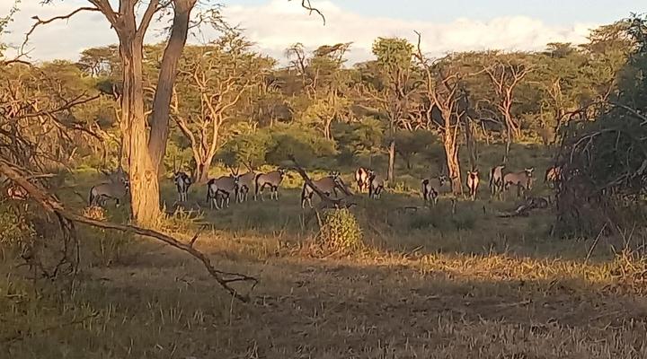 Roidina Safari Lodge