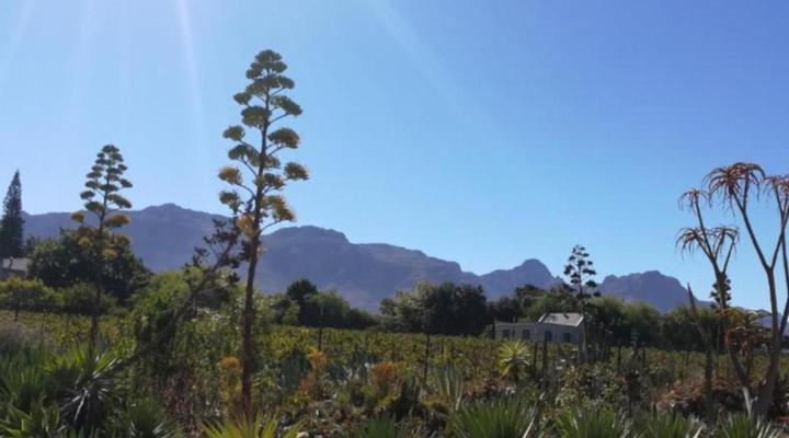 De Oude Schuur Accommodation