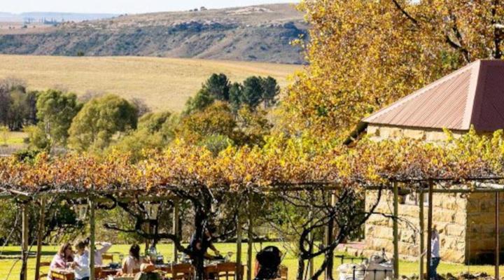 Thula Guest Farm