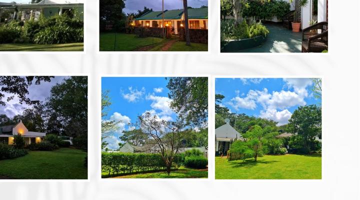 Honeybear Guest Lodge