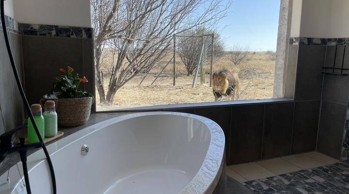 The Lion's Den Kimberley