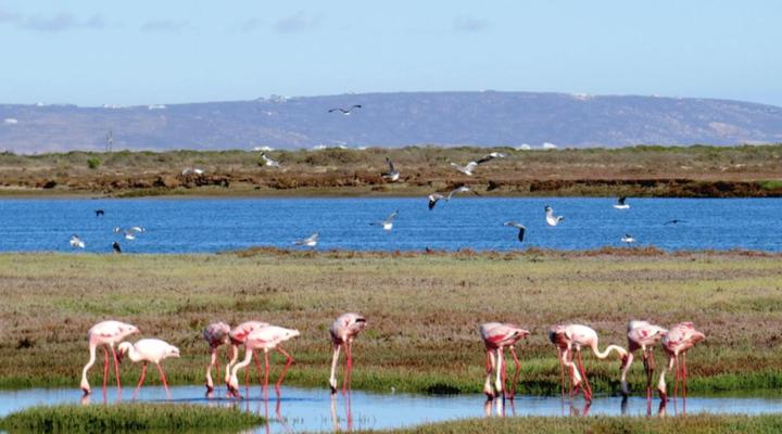 River And Sea Velddrif