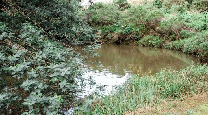 Zwakala River Retreat