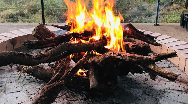 Wild Dog Guest Lodge