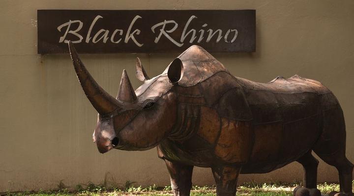 Black Rhino Game Lodge